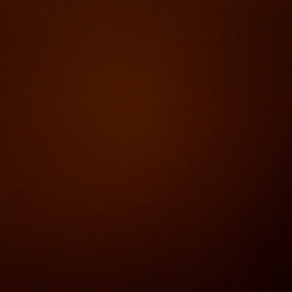 Meet your Posher, Jaylin